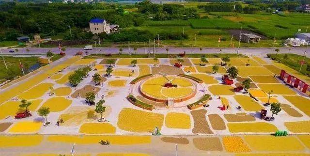 这个县城创造罚款收入下降“奇迹”开元棋牌试玩政府大楼旁可以摆摊(图2)